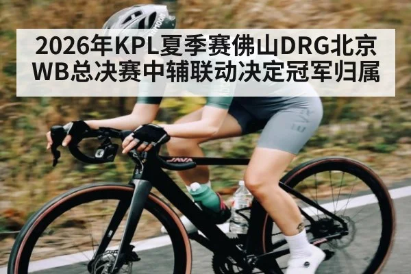 2026年KPL夏季赛佛山DRG北京WB总决赛中辅联动决定冠军归属